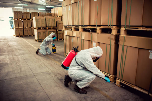 Trusted Mason City, IL Pest Control Experts