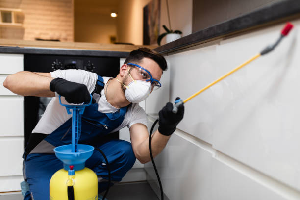 Best Wildlife Control Services  in Mason City, IL