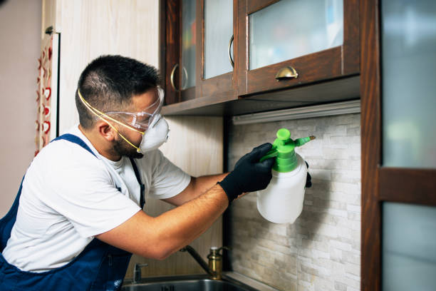 Best Exterminator Services  in Mason City, IL