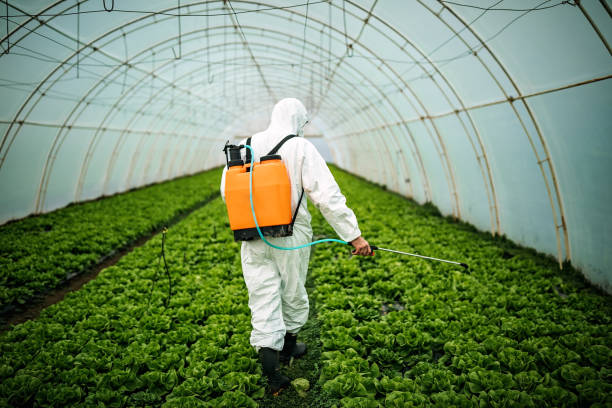 Best Pest Prevention Services  in Mason City, IL