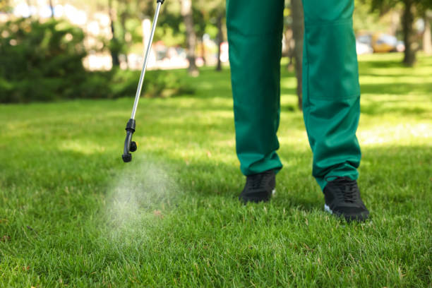 Best Commercial Pest Control Services  in Mason City, IL