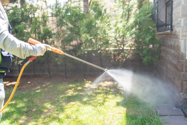 Wildlife Control Services in Mason City, IL
