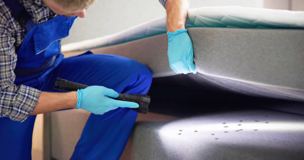 Best Mosquito Control Services  in Mason City, IL