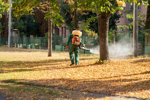 Professional Pest Control in Mason City, IL