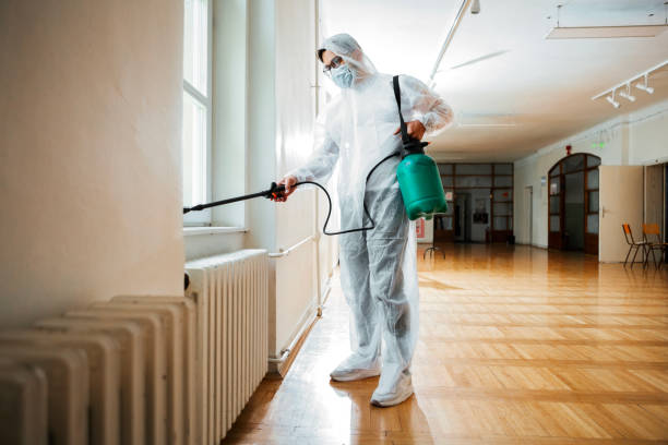 Best Wasp Removal Services  in Mason City, IL