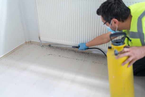 Best Emergency Pest Control  in Mason City, IL