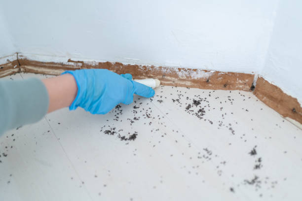 Wildlife Control Services in Mason City, IL