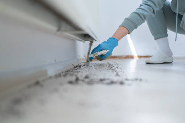 Best Wildlife Control Services  in Mason City, IL