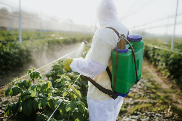Best Flea Control Services  in Mason City, IL